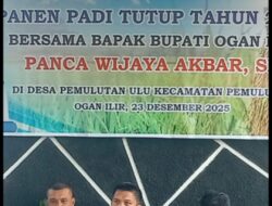 Panen Padi Tutup Tahun Bersama Bupati Panca Wijaya Akbar Di Kecamatan Pemulutan Ogan Ilir.