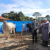 Bupati Lampung Barat Shalat Idul Adha di Way Empulau Ulu, Soroti Program Pusat dan Serahkan Sapi Kurban Presiden