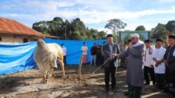 Bupati Lampung Barat Shalat Idul Adha di Way Empulau Ulu, Soroti Program Pusat dan Serahkan Sapi Kurban Presiden