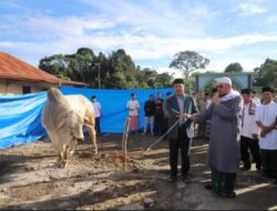 Bupati Lampung Barat Shalat Idul Adha di Way Empulau Ulu, Soroti Program Pusat dan Serahkan Sapi Kurban Presiden