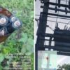 Kabel Trafo Dicuri Di Lima Titik, PLN Liwa Pastikan Pasokan Listrik Tetap Normal Di Tiga Kecamatan
