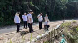Kepala Dinas Bina Marga Dan Bina Konstruksi (BMBK) Provinsi Lampung M. Taufiqullah Meninjau Pembangunan Turap Bambu Penahan Longsor Di Ruas Jalan Batas Liwa Dengan Sumatera Selatan